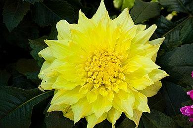 B社大作《星空》媒体评分解禁 MC均分88